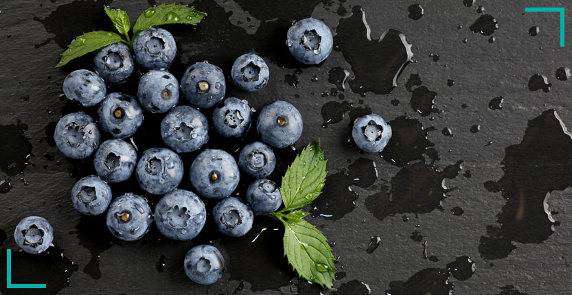 You are currently viewing All-rounder blueberry
