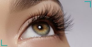 Wimpernserum